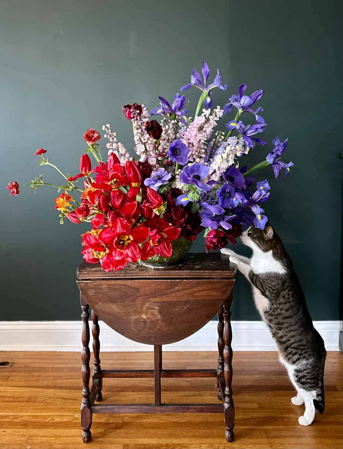 A cat stands on its hind legs to sniff a large bouquet of red, purple, and pink flowers arranged in a vase on a wooden table.