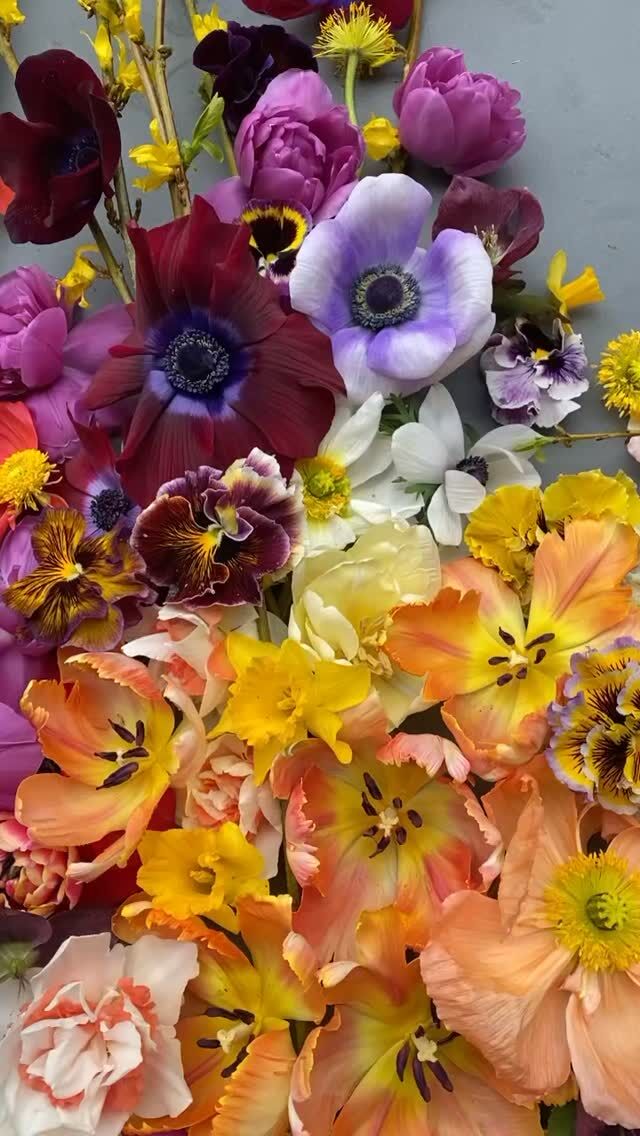 The magic of spring flowers is always fleeting. Hello, and Goodbye.

As a designer (not just a florist), we don’t promise specific blooms. Instead, we design around your palette, your feeling, your overall vision—selecting what’s most beautiful in the moment.

This season has been a wild one—unseasonable heat followed by a freeze. Nature shifted the plan, and a few of our usual favorites disappeared as quickly as they arrived.
But that’s the art of it. We adapt, we source, we create—and it’s always stunning.

#lancasterflorist #fingerlakesflorist #fingerlakeswedding #lancasterwedding #springflowers