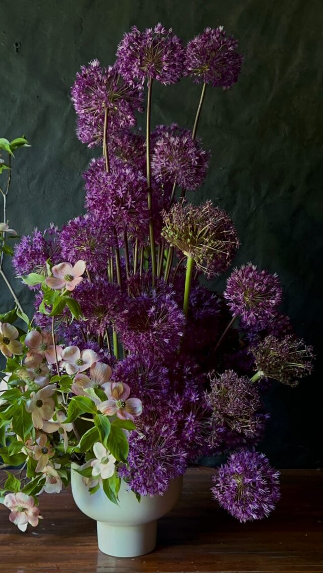 Onions + Dogs.

(Allium/Dogwood)

Singular statement arrangements are always my fav to design. 

#fingerlakesflorist #lancasterflorist #lancasterwedding #fingerlakeswedding #localflowers