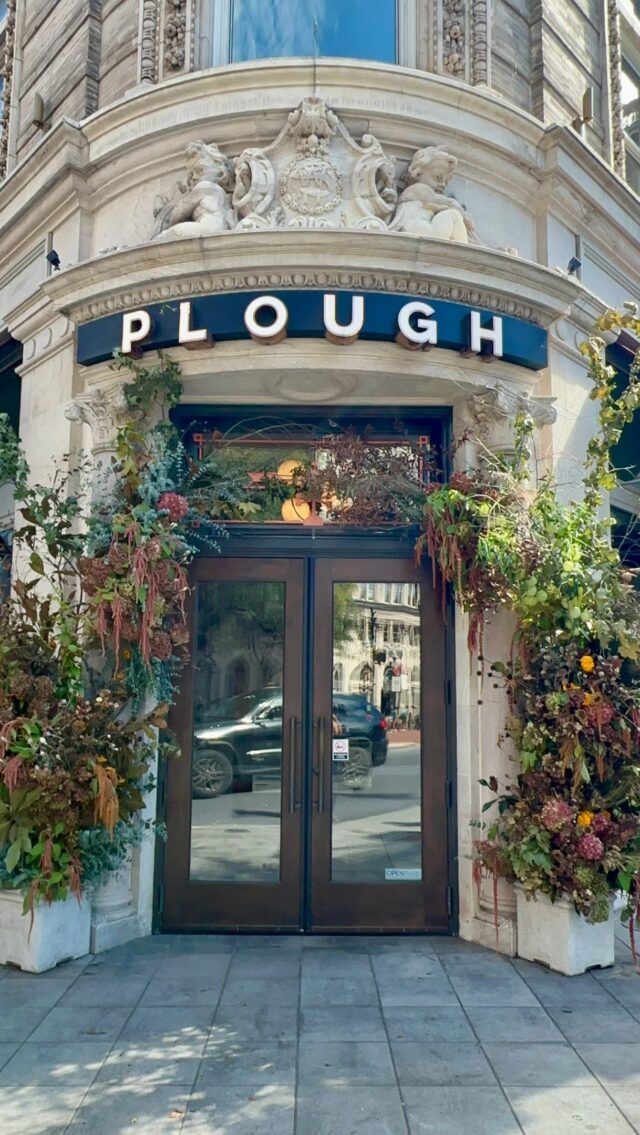 My office today: Downtown Lancaster @ploughlancaster ! 

Excited to bring some fun fall beauty to the square for the season. 
HUGE shoutout to Plough for choosing a DRIED installation over “fake plastic”. The entire installation, minus a few blobs of reusable chicken wire, can be composted after it has lived its life.

You ask: wont it crumble in the weather? Yes….. some…. Hence we have a *refresh* plan as needed.

Tag us in your selfies!!! #splintsanddaisies @splintsanddaisies 

#lancasterflorist #driedfloralinstallation #sustainablefloristry #lancastercity