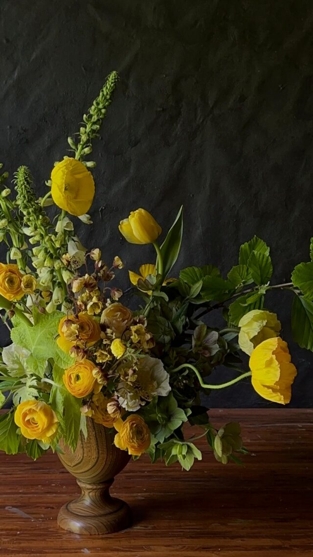 When each of your centerpieces has main character energy……

#localflowers #lancasterflorist #lancasterwedding #fingerlakeswedding #fingerlakesflorist