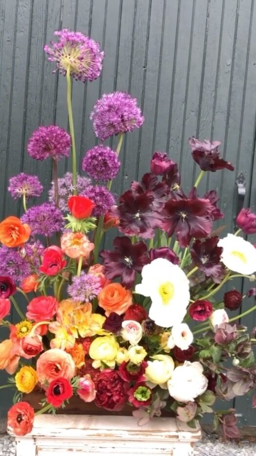 Waiting for thaw to ask @riversideblooms what froze last night.
#localflowers