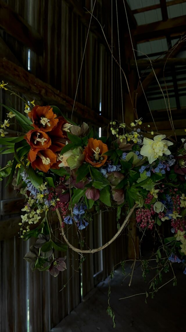 Fritillaria stealing the show again.
.

#localflowers #springflowers #bluebells #fritillaria #americangrown #slowflowers #nooasis #floralchandelier