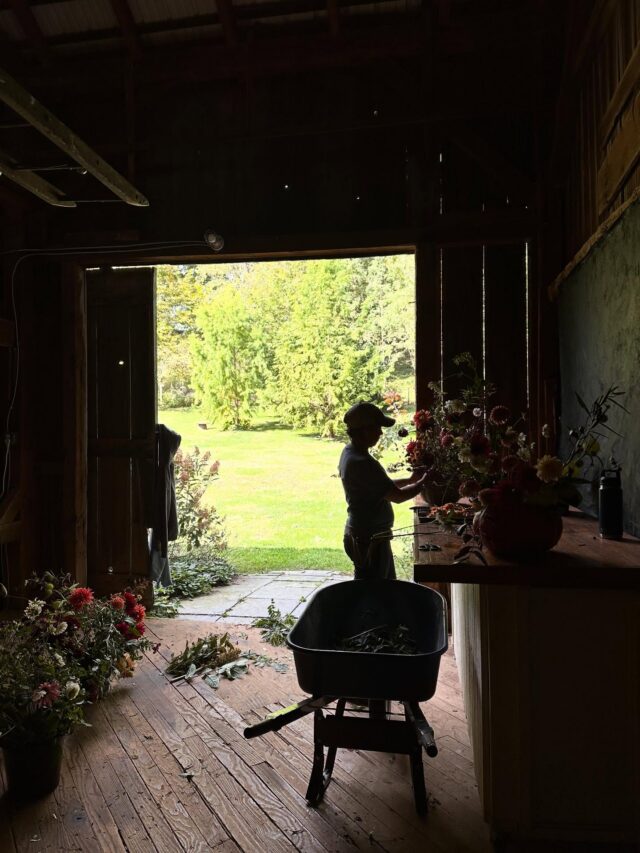 Not my usual “gram flowers” but I just loved this in-the-moment quick pic of my dear friend @riversideblooms working on her pumpkin arrangement for “craft day” today. (AKA we both took two hours off and did something for fun instead of work.) 

My pumpkin “craft” coming to the gram soon!