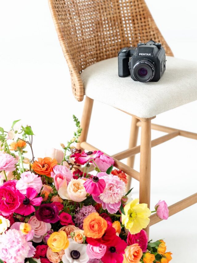 Providing arrangements to @alyssabuntonphoto : on my list of favorite things to do! 💜

In this case, for her branding sesh with @kelsreneephoto !!!

PC @kelsreneephoto Venue @supplymanheim 

#lancasterflorist #fingerlakesflorist #localflowers #ranunculus