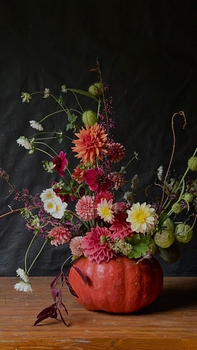 Pumpkin. 🎃

Flowers sourced from @riversideblooms + my jungle.